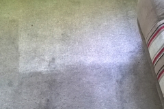 WP_20150818_13_59_19_Pro