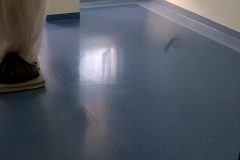 WP_20150917_10_02_13_Pro